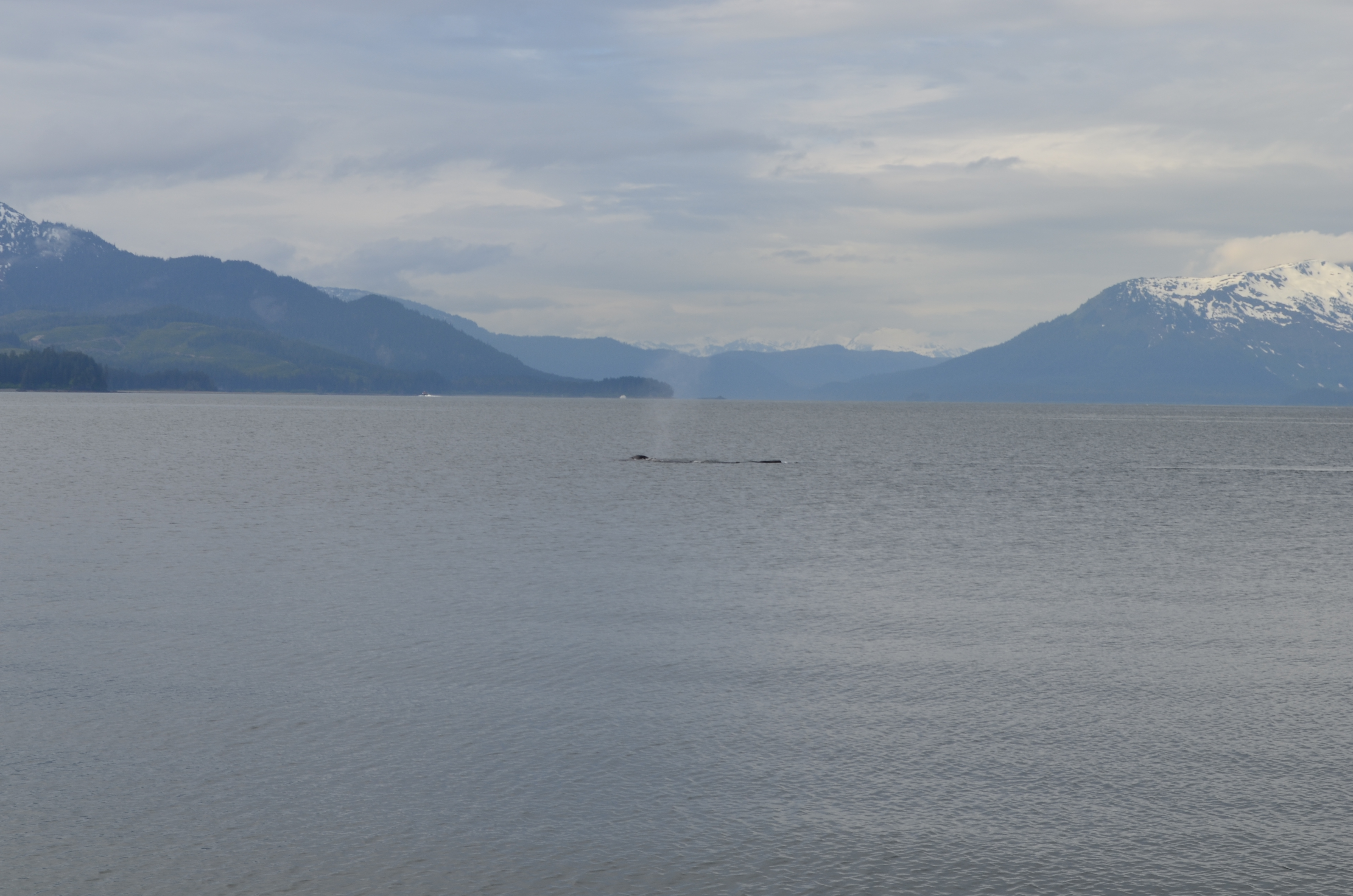 ./2017/08 - Alaska Cruise/10 - Icy Strait Point/DSC_0298.JPG